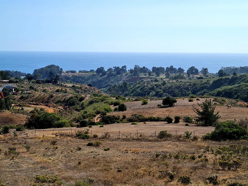 Imagen 8 de 25 de Parcelas De 5.000 Con/sin Vista Mar En Condominio Algarrobo