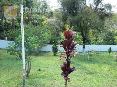 Imagem 2 de 9 de Terreno - Ref: 42288
