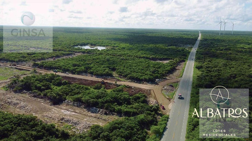 Imagen 11 de 20 de Residencial Albatros || Excelente Privada Residencial De Lotes De Terreno En Venta, Ubicada Al Norte De Merida, Cercana A Chicxulub Puerto