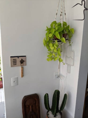Imagem 10 de 30 de Apartamento Locação Na Vila Mariana - Ap00985 - 68306798