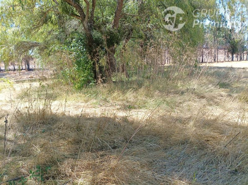 Imagen 4 de 17 de Terreno Agrícola En Venta En Victoria