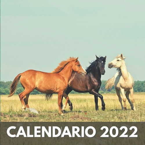 Libro: Calendario 2022: Caballos - Un Calendario Mensual De 
