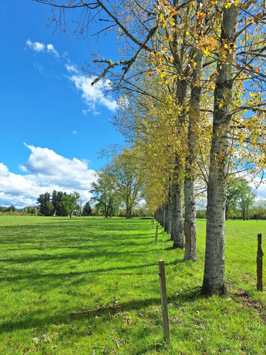 Parcelas Urbanizadas Acceso Norte Valdivia