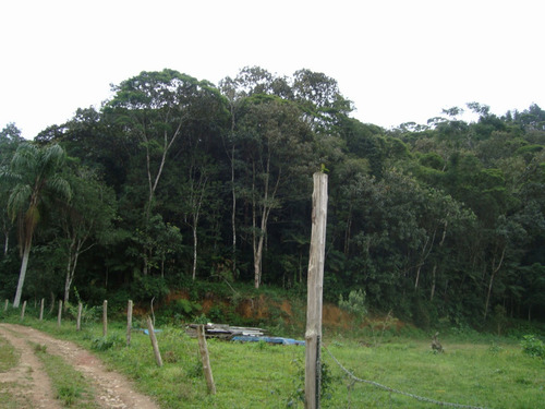 Imagem 5 de 14 de Terreno - Cachoeiras Do Amâncio - Biguaçu - Sc