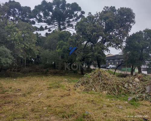 Imagem 4 de 19 de Terreno A Venda Em Araucária Pr - Te00009 - 69431290