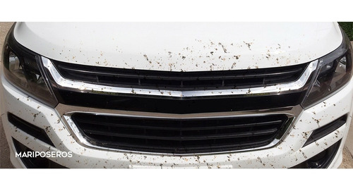 Imagen 4 de 10 de Mariposero, Bichero Amarok 2010+ Cubre Radiador Bracco
