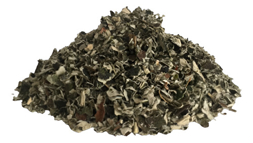 Matico Hierba Infusion 1 Kilo