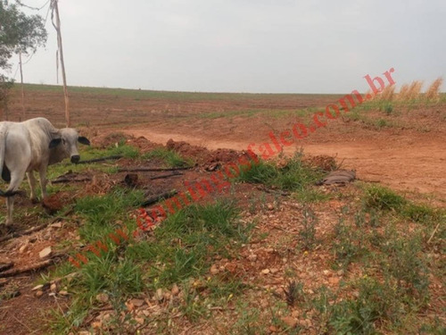 Imagem 15 de 19 de Venda - Chácara - Colina Santa Izabel (tupi) - Piracicaba - Sp - D0440