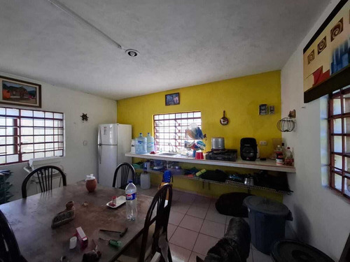 Venta Amplio Terreno De 6000 M2 Tahdzibichen, Merida, Yucatan.