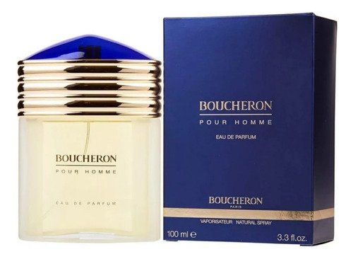 Perfume Boucheron Pour Homme 100 Ml - mL a $3000