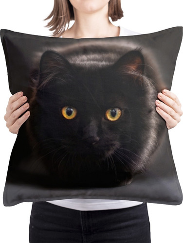 Cojin Almohada Gato Negro Adorable Peludo Cuadrado Esponjoso