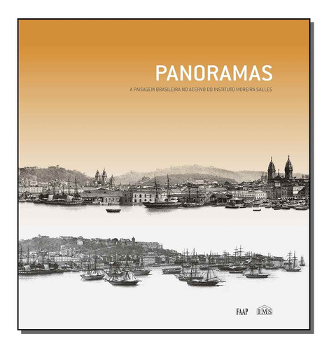 Libro Panoramas Catalogo De Martins Carlos Burgi Sergio Ims