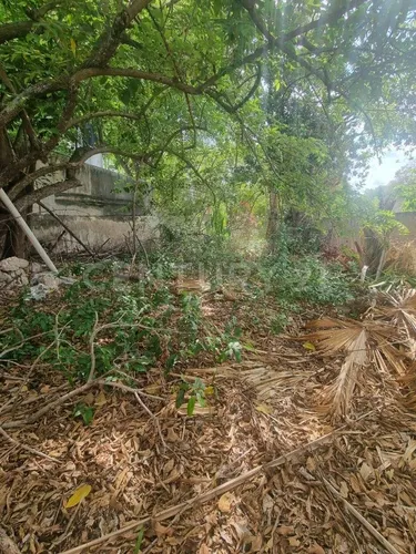 Casa En Venta, Centro De Mérida, Yucatán