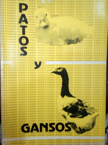 Patos Y Gansos - Gerardo Alberto Rodriguez 