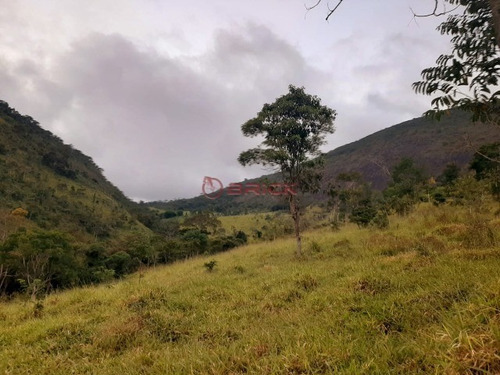 Imagem 21 de 30 de Fazenda Com 1milhão De M² No Vale Alpino. - Fa00024 - 69449575