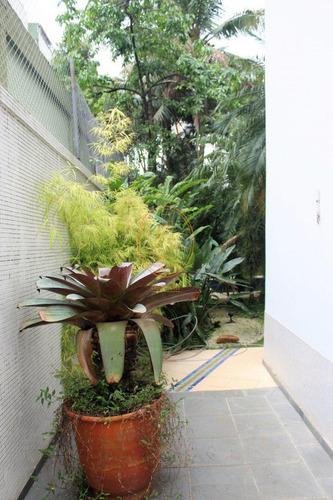 Imagem 17 de 30 de Casa Com 3 Dormitório(s) Localizado(a) No Bairro José Menino Em Santos / Santos - 5996