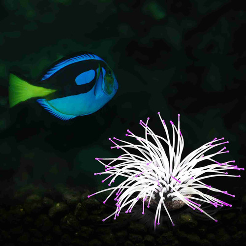 Efecto Brillante Artificial De Anémona Marina De Silicona Pa