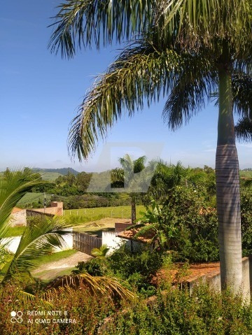 Imagem 3 de 30 de Chácara Com 500 M² Localizada Em Saltinho - Ch00138 - 70582871