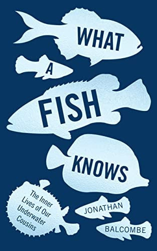 What A Fish Knows, De Jonathan Balcombe. Editorial Oneworld Publications, Tapa Blanda En Inglés