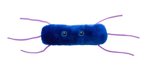 Peluche Listeria Bacteria Giant Microbes