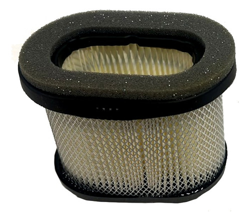 Filtro De Aire 697029 Tractor Podadora Briggs & Stratton