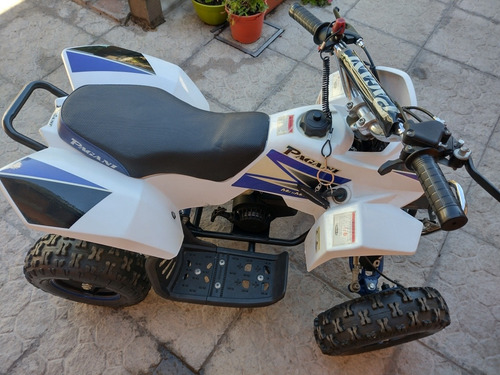 Imagen 3 de 7 de Pagani Max 49cc