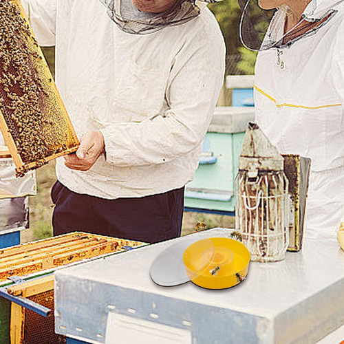 Alimentador Para Abejas Alimentador Para Colmena De Abejas A