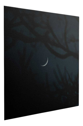 Lienzo Luna Creciente Entre Ramas Oscuras 55x55