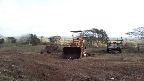Imagen 16 de 30 de Finca En Mirimire Estado Falcon De 941 Hectáreas