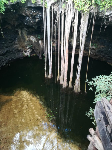 En Venta Lotes Ecológicos En Tulum (237)