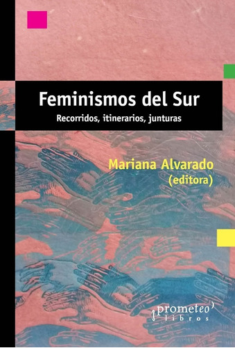 Feminismos Del Sur. Recorridos, Itinerarios, Junturas - Mari