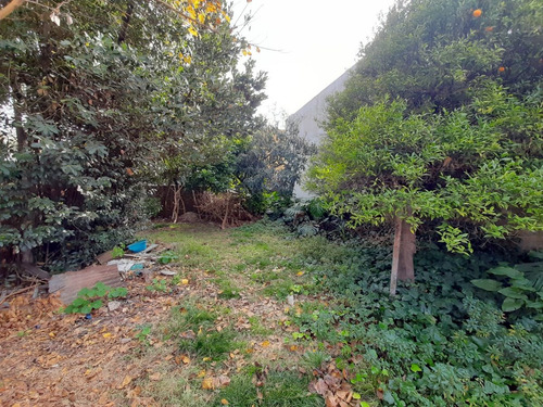 Imagen 17 de 27 de Venta De Casa De 3 Amb Con Cochera Pasante Y Amplio Lote.