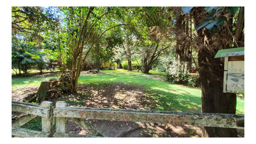 Imagen 18 de 30 de Casa Quinta 6 Amb Quincho Parrilla Pileta 5 Lotes Arbolados En Alejandro Petion Cañuelas