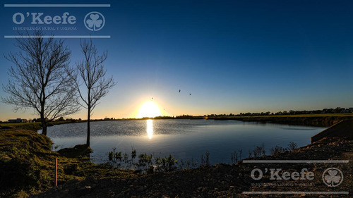 Lote En Venta En Puerto Nizuc - Oportunidad De Inversión En Guillermo Hudson