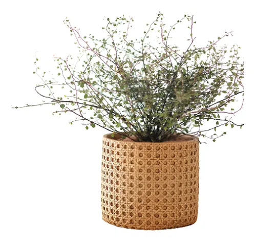 Cachepot Rattan Em Cimento Cor Bege