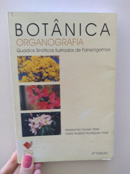 botanica organografia vidal