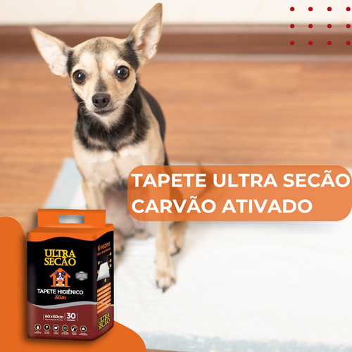 Tapete Ultra Secão Greatpets 80x60 Carvão + Educador PipiPod