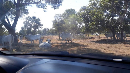 Imagem 5 de 17 de Fazenda - Área Rural A Venda Em Barão De Melgaço - Mt - Fa0191