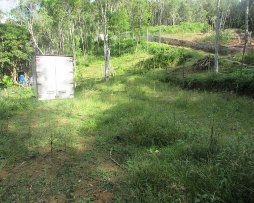 Imagem 13 de 21 de Terreno - 04611 - 33229241