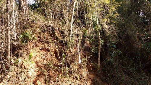 Imagem 2 de 2 de Terreno À Venda, 2938 M² Por R$ 120.000,00 - Prata - Teresópolis/rj - Te0149