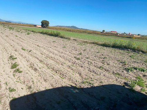 Imagen 7 de 14 de Terreno En Venta En Tonantzintla Para Rancho O Desarrollo.