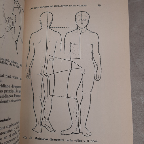Acupuntura. Felix Mann