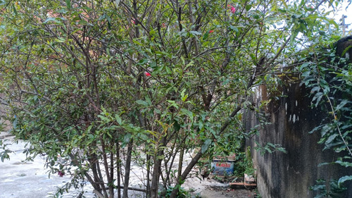 Vende-se Terreno Com 4 Imóveis