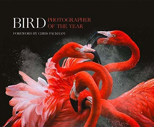 Bird Photographer Of The Year: Collection 3, De Varios Autores. Editorial William Collins, Tapa Pasta Dura, Edición 1.0, 2022