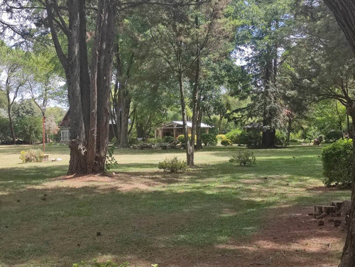 Imagen 5 de 30 de Hermosa Quinta Con Mucha Arboleda Añeja