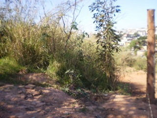 Excelente Lote 647m² - 724