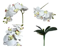 Comprar 3 Galhos Orquídea Silicone Branca E 1 Buquê De Folhas E Raiz