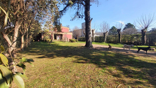 Imagen 18 de 30 de Venta Casa Quinta 4 Ambientes Lujan Gran Parque