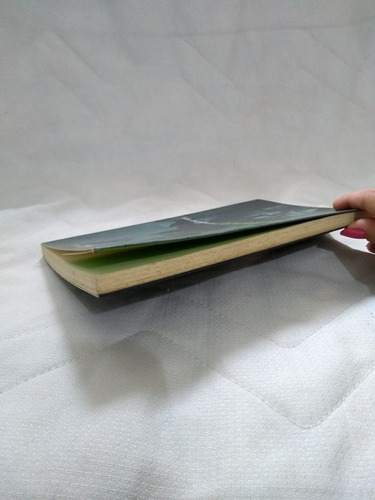 Livro O Perdido - Hans-ulrich Treichel