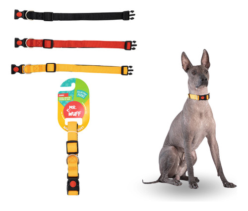 Collar Para Perros Gatos Mascotas Ajustable Mr Wuff Color Naranja Broche Tamaño del collar L